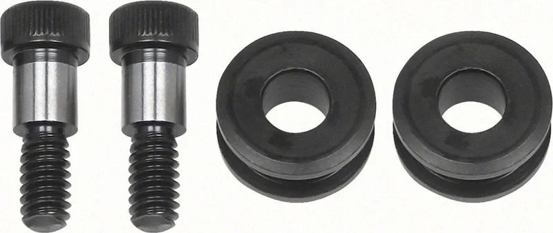 Door Hinge Detent Repair Kit -  (2 rollers & 2 bolts) - 67 Camaro Firebird