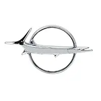 1969 Pontiac Tempest Door Emblems