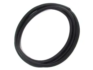 1967 Ford Fairlane Back Glass Gasket Seal - 66-67 Fairlane Comet (2DR Hardtop)