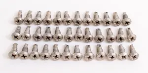 Wheel Opening Molding Screw Set (36pcs) - 70-74 Dodge Plymouth A/B/E Body - Image 1 of 3