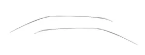 Drip Rail Molding Set - 66-67 Fairlane 2DR Hardtop - Image 1 of 2