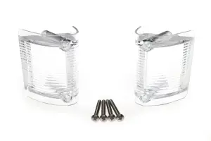 Park Lamp Lenses - Pair - 68-69 Fairlane Torino - Image 1 of 3