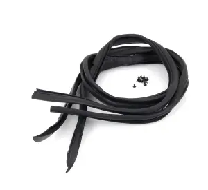 Roof Rail Weatherstrips - Pair - 67-72 Dodge Plymouth A-Body Hardtop - Image 2 of 3