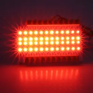 Tail Light Insert Board - 48 Red Sequential LED - RH - 70 Chevelle Malibu - Image 2 of 4