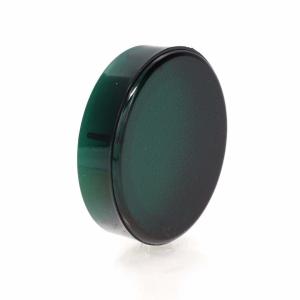 Turn Signal Indicator Lens - Green with Housing - 67-72 Chevy GMC CK Truck - Image 6 of 6