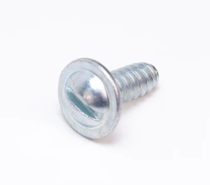 License Plate Screw - Image 1 of 2