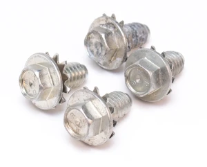 Park Lamp Housing Bolts (4pcs) - Image 1 of 2