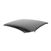 Roof Skins